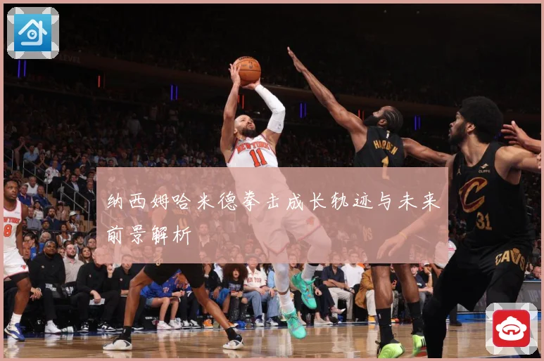 纳西姆哈米德拳击成长轨迹与未来前景解析