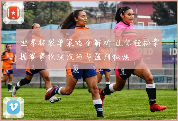 世界杯跟单策略全解析 让你轻松掌握赛事投注技巧与盈利秘诀
