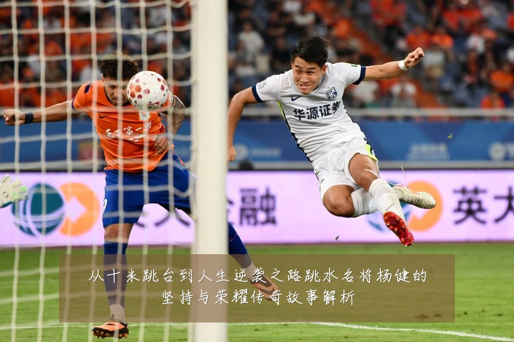 从十米跳台到人生逆袭之路跳水名将杨健的坚持与荣耀传奇故事解析